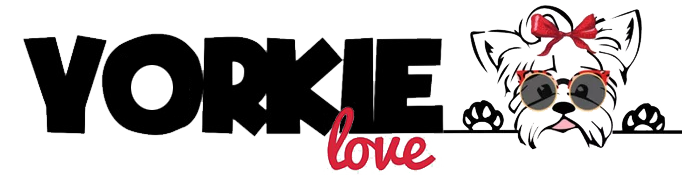 Yorkie Love