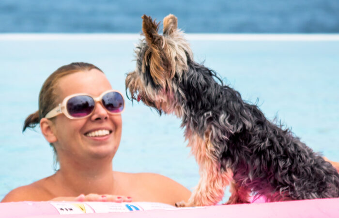 How to Keep your Dog Cool this Summer
