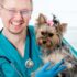 Keeping Your Pets Safe From Illness