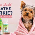 clean Yorkshire Terrier wrapped in a soft towel after a gentle bath in a bright pastel bathroom.