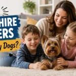 A happy Yorkshire Terrier relaxing with a loving family in a bright, cozy living room.